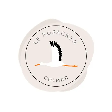 Apartment Le Rosacker: Center Retreat With Terrace And Free Parking