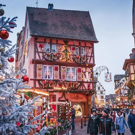 Apartment Le Rosacker: Center Retreat With Terrace And Free Parking Colmar