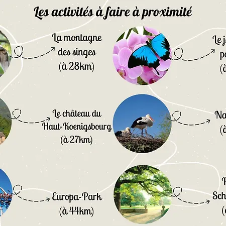 Le Rosacker - Proche Centre Ville Et Gare - Terrasse - Parking Gratuit - 2 Chambres - 2 Salles D'Eau - Netflix - A 10 Min Du Marche De Noel Apartman Colmar